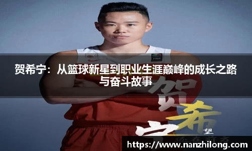 熊猫体育官网
